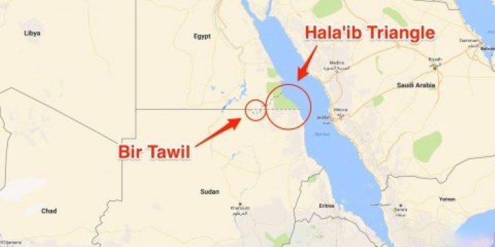 اخبار,اخبارگوناگون,صحرای بدون صاحب!