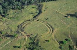 اخبار,اخبارگوناگون,کشف دهکده های گمشده آمازون