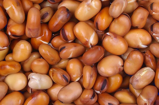 اخبار,اخبارگوناگون,بهترین سوپرفودهای فصل بهار