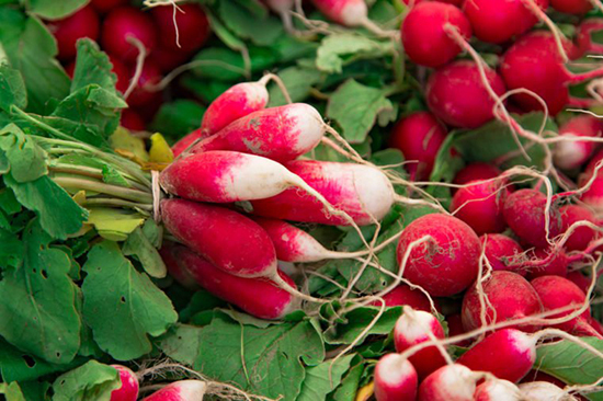 اخبار,اخبارگوناگون,بهترین سوپرفودهای فصل بهار