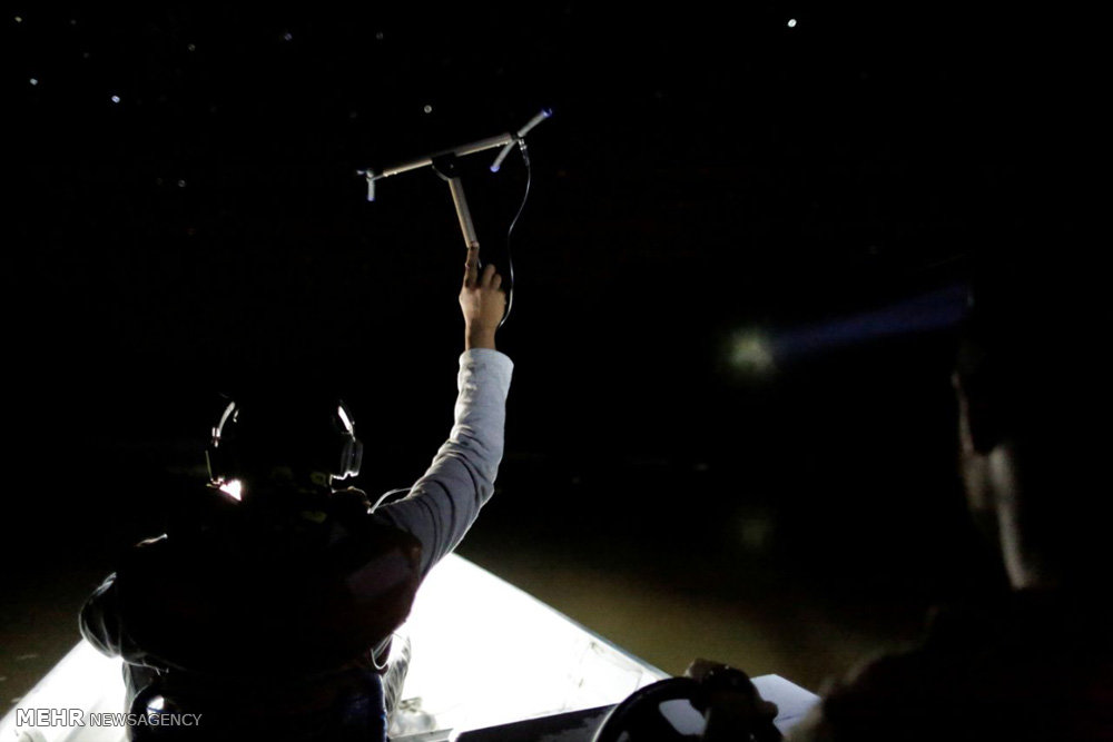 اخبار,اخبارگوناگون,پلنگ های برزیلی 