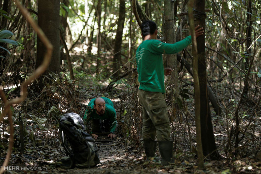 اخبار,اخبارگوناگون,پلنگ های برزیلی 