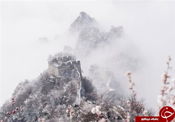 اخبار,اخبارگوناگون,طبیعت دیوارچین