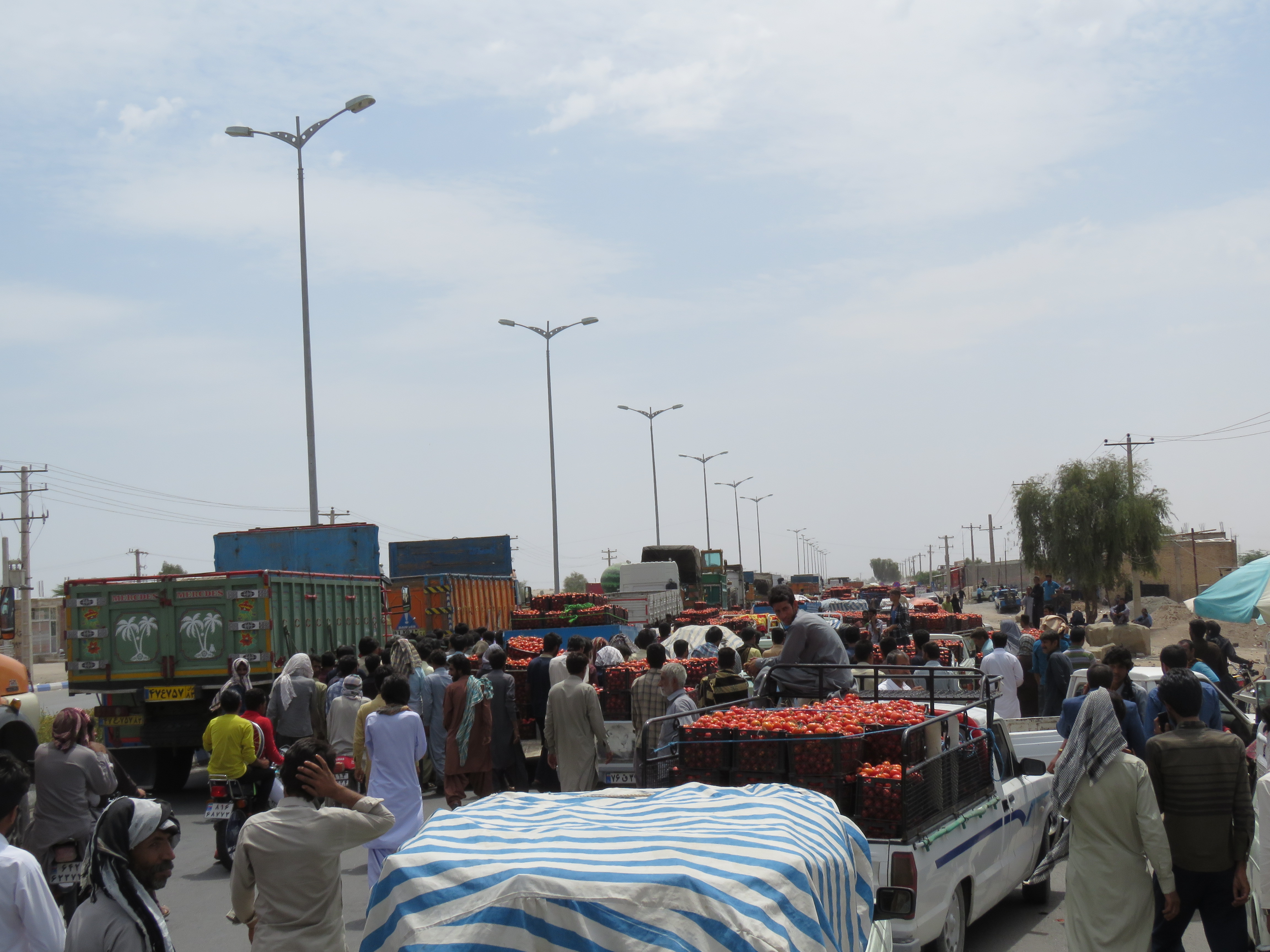 اخباراجتماعی ,خبرهای اجتماعی ,کشاورزان کرمان اخبار اجتماعی ,خبرهای اجتماعی,کشاورزان کرمان