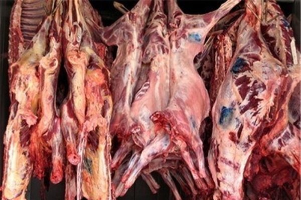 اخبار اقتصادی ,خبرهای اقتصادی ,گوشت گوسفندی اخبار اقتصادی ,خبرهای اقتصادی , گوشت گوسفندی