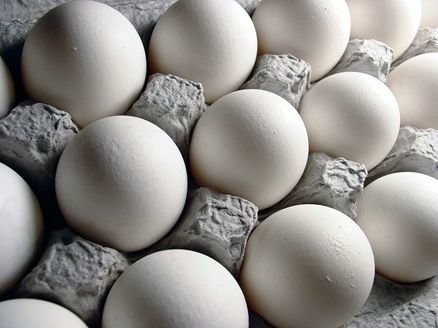 اخبار اقتصادی ,خبرهای اقتصادی , تخممرغ اخبار اقتصادی ,خبرهای اقتصادی ,تخممرغ