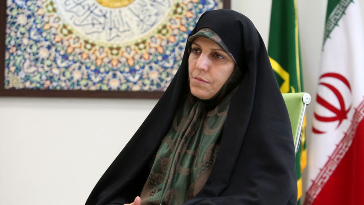 مولاوردی: پیگیر وضعیت بازداشتیهای محیطزیستی از قوهقضاییه هستم