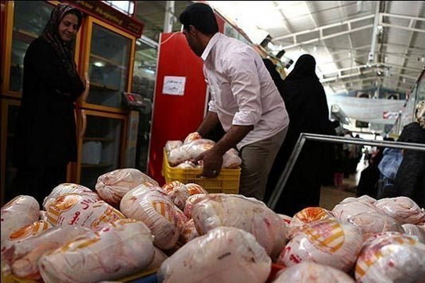 اخبار اقتصادی ,خبرهای اقتصادی , مرغ اخبار اقتصادی ,خبرهای اقتصادی , مرغ