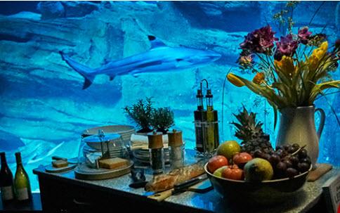 اخبارگوناگون,خبرهای گوناگون , شگفت انگیزترین اتاق خواب اخبارگوناگون,خبرهای گوناگون , شگفت انگیزترین اتاق خواب