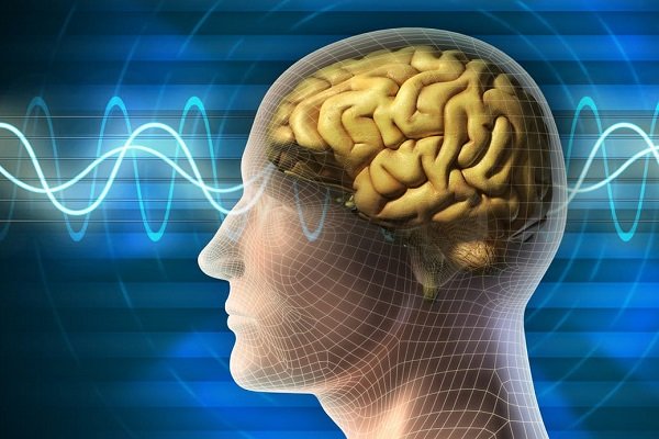 اخبار علمی,خبرهای علمی ,سلاح های جدید آمریکایی اخبار علمی ,خبرهای علمی,سلاح های جدید آمریکایی