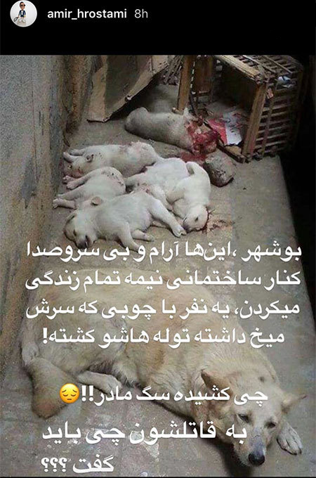اخبار,اخبار فرهنگی,اخبار چهره ها اخبار,اخبار بازیگران,اخبار فرهنگی