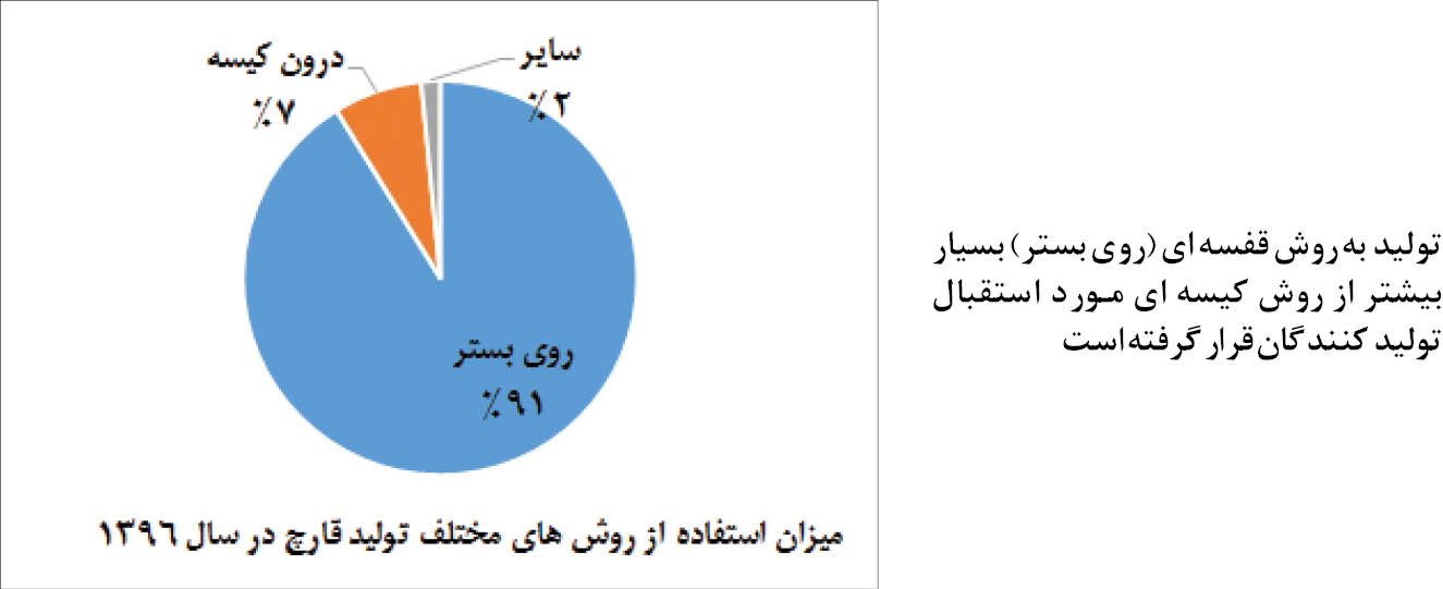  اخبار اقتصادی ,خبرهای اقتصادی ,تولید قارچ 