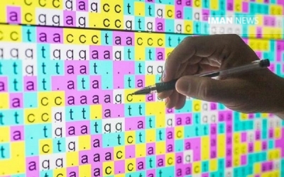اخبار علمی,خبرهای علمی ,میکروب چندزبانه اخبار علمی ,خبرهای علمی,میکروب چندزبانه