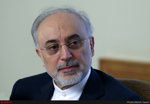 صالحی : حفظ برجام نیازمند برآورده شدن انتظارات و رفع تحریمهای ظالمانه است