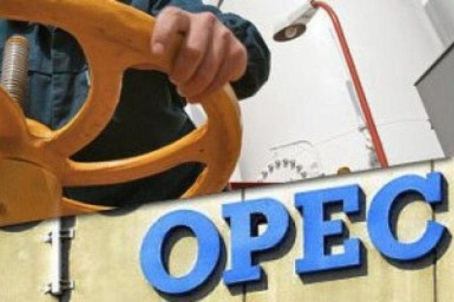 اخبار اقتصادی ,خبرهای اقتصادی ,نعمتی اخبار اقتصادی ,خبرهای اقتصادی , نعمتی
