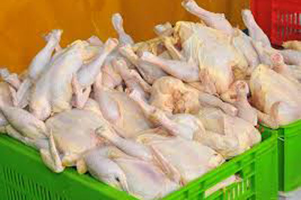 اخبار اقتصادی ,خبرهای اقتصادی , مرغ اخبار اقتصادی ,خبرهای اقتصادی ,مرغ