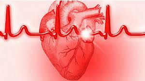 اخبارپزشکی ,خبرهای پزشکی ,حملات قلبی اخبارپزشکی ,خبرهای پزشکی ,حملات قلبی