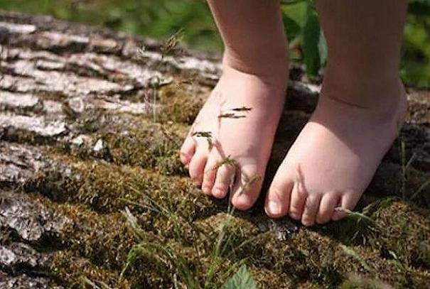 اخبار پزشکی ,خبرهای پزشکی , طبیعت اخبار پزشکی ,خبرهای پزشکی, طبیعت