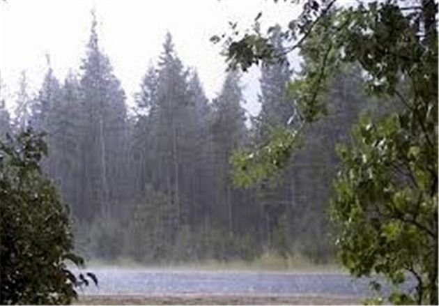 اخباراجتماعی ,خبرهای اجتماعی , اخبار اجتماعی ,خبرهای اجتماعی,