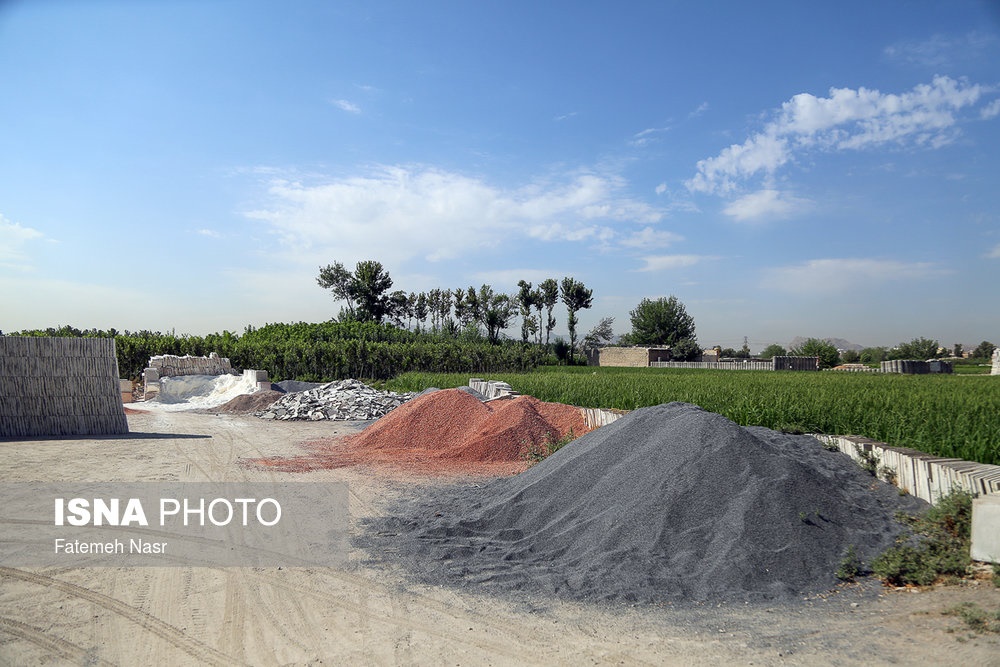 اخباراجتماعی ,خبرهای اجتماعی ,کشت برنج در نزدیکی زاینده رود اخبار اجتماعی ,خبرهای اجتماعی,کشت برنج در نزدیکی زاینده رود