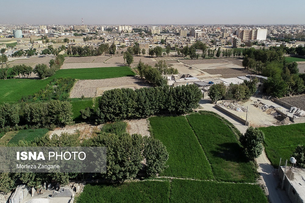 اخباراجتماعی ,خبرهای اجتماعی ,کشت برنج در نزدیکی زاینده رود اخبار اجتماعی ,خبرهای اجتماعی,کشت برنج در نزدیکی زاینده رود