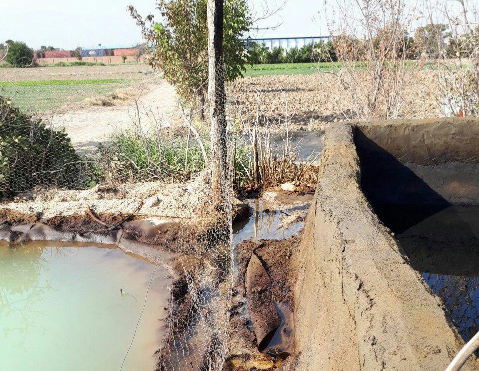 اخباراجتماعی ,خبرهای اجتماعی ,شورای شهر تهران اخبار اجتماعی ,خبرهای اجتماعی,شورای شهر تهران