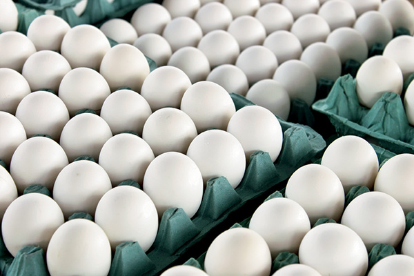 کاهش قیمت تخم مرغ در بازار/ تاثیر افزایش 100 درصدی قیمت نهادهها بر مرغ و تخممرغ