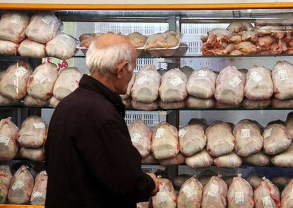 اخبار اقتصادی ,خبرهای اقتصادی , مرغ اخبار اقتصادی ,خبرهای اقتصادی , مرغ