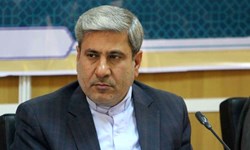 اخبار اقتصادی ,خبرهای اقتصادی ,حسین هاشمی تختی نژاد اخبار اقتصادی ,خبرهای اقتصادی ,حسین هاشمی تختی نژاد