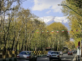 خزان زودرسِ چنارهای ولیعصر / چرا چنارهای خیابان ولیعصر در تابستان زرد شده است؟