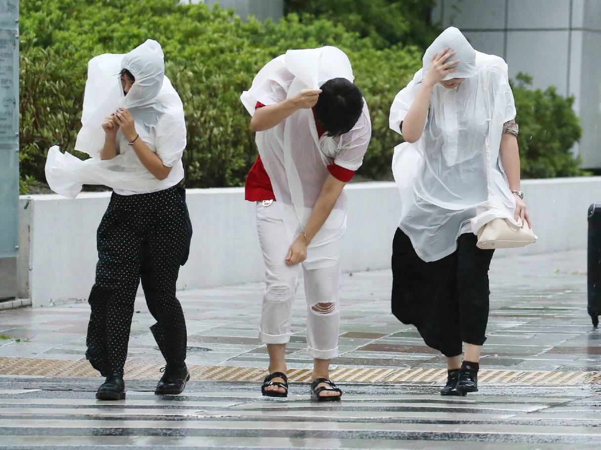 اخبار,اخبار حوادث,طوفان مرگبار ژاپن
