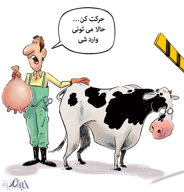 اخبار اقتصادی ,خبرهای اقتصادی , واردات گاو اخبار اقتصادی ,خبرهای اقتصادی ,واردات گاو