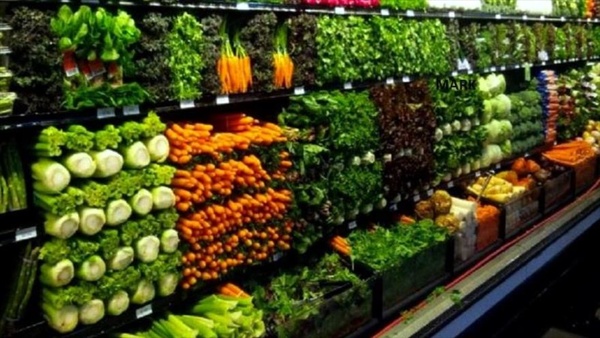 اخبار اقتصادی ,خبرهای اقتصادی , واردات گوجه اخبار اقتصادی ,خبرهای اقتصادی , واردات گوجه