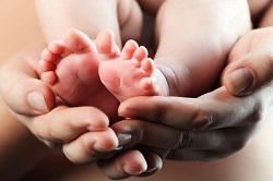 اخباراجتماعی ,خبرهای اجتماعی , نرخ باروری کشور اخبار اجتماعی ,خبرهای اجتماعی, نرخ باروری کشور