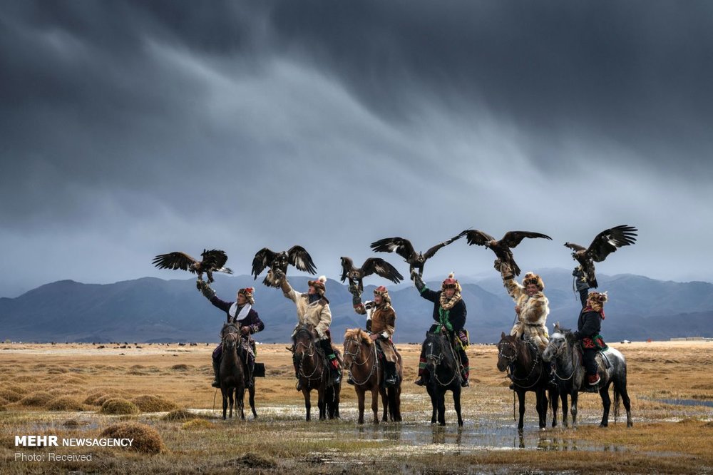اخبار,اخبارفرهنگی وهنری, سوارکاران عقاب به دست مغولستان