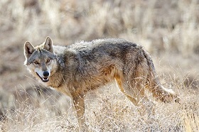 [تصویر:  9708-57t2264.jpg]