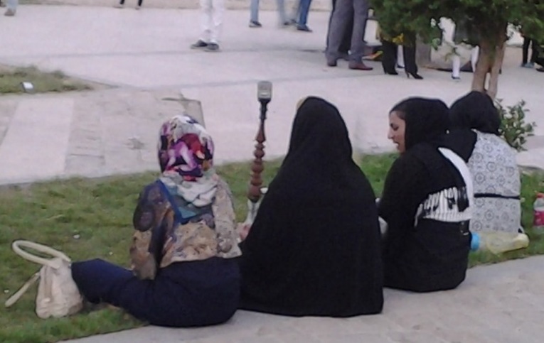 اخبار,اخبار اجتماعی,ممنوعیت ورود قلیان به پارک‌ها در تهران
