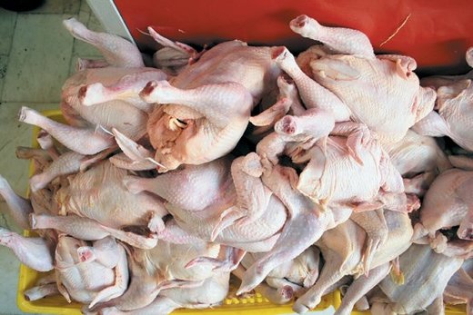 اخبار اقتصادی ,خبرهای اقتصادی ,قیمت مرغ اخبار اقتصادی ,خبرهای اقتصادی ,قیمت مرغ