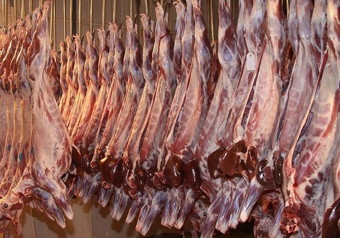 اخبار اقتصادی ,خبرهای اقتصادی ,دام زنده اخبار اقتصادی ,خبرهای اقتصادی ,دام زنده