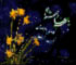 حضرت فاطمه