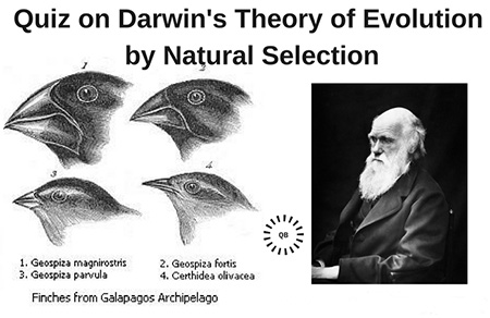 نظریه ی داروین,تئوری داروین