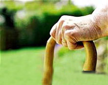 پیر شدن,علت ضعف عملکرد عضلانی در پیری,سلول‌های بنیای عضله