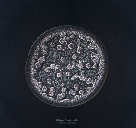 اشک, ساختار اشک,تصاویر میکروسکوپی اشک