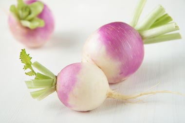 hhs2359-planting-turnips.jpg