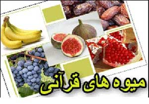 میوه‌های قرآنی,اسامی میوه های قرآنی,فواید میوه های قرآنی