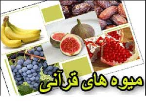 گیاهان در قرآن