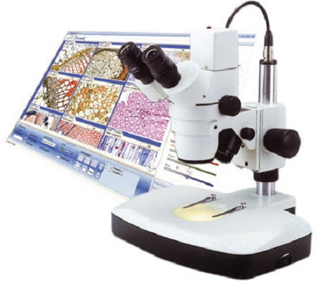 میکروسکوپ الکترونی, کاربرد انواع میکروسکوپ, انواع میکروسکوپ
