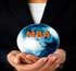 رشته mba , گرایش های رشته mba