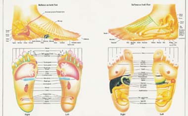 طب