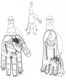 طب